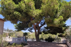 Venta - Chalet - Pinar de Campoverde