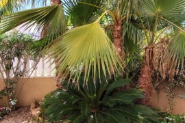 Verkauf - Haus - Pinar de Campoverde