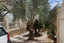Venta - Chalet - Pinar de Campoverde