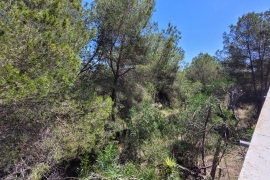 Verkauf - Haus - Pinar de Campoverde