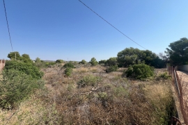 Venta - Terreno - Pilar de la Horadada - Pinar de la Perdiz