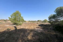 Venta - Terreno - Pilar de la Horadada - Pinar de la Perdiz