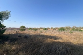 Venta - Terreno - Pilar de la Horadada - Pinar de la Perdiz