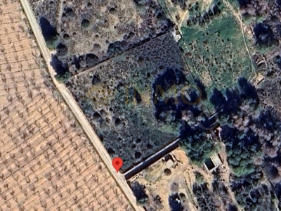 Land - Verkauf - Pilar de la Horadada - Pinar de la Perdiz