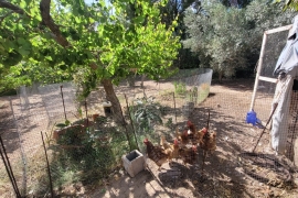 Venta - Chalet - Pinar de Campoverde