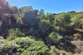 Venta - Chalet - Pinar de Campoverde