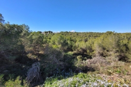 Venta - Chalet - Pinar de Campoverde