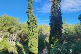 Venta - Chalet - Pinar de Campoverde