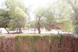 À vendre - Appartement - Orihuela costa - Playa Flamenca