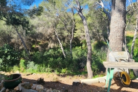 Venta - Chalet - Pinar de Campoverde