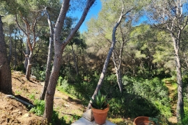 Venta - Chalet - Pinar de Campoverde