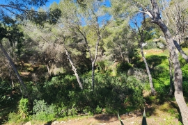 Venta - Chalet - Pinar de Campoverde