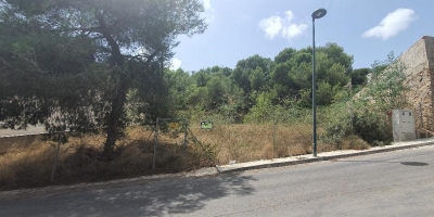 Parcela - Venta - Pinar de Campoverde - Pinar de Campoverde
