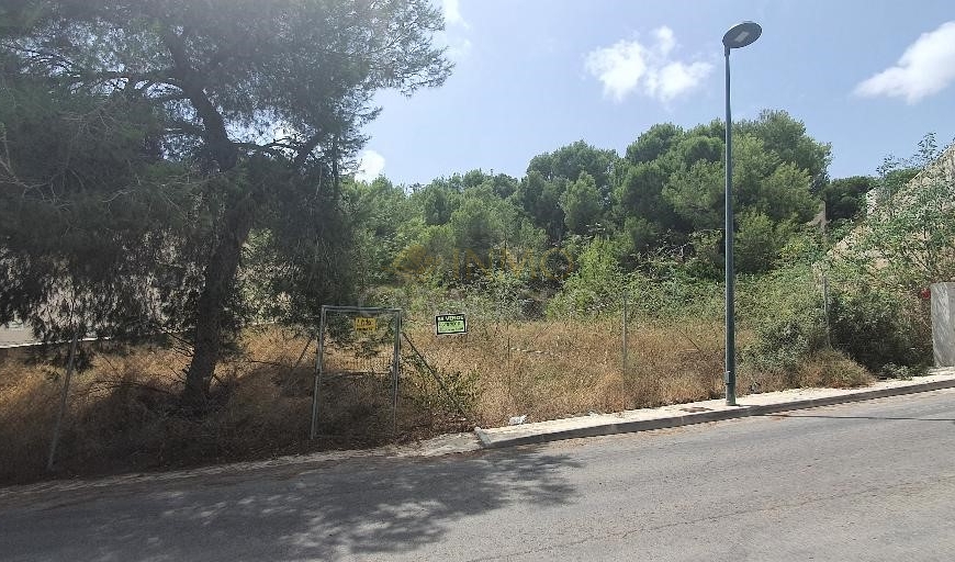 À vendre - Terrain - Pinar de Campoverde