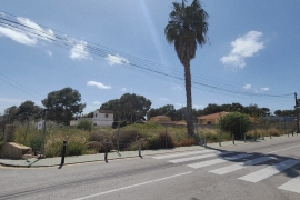 Venta - Parcela - Pinar de Campoverde