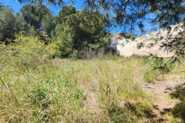 Sale - Plot - Pinar de Campoverde