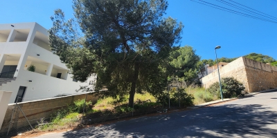 Parcela - Venta - Pinar de Campoverde - Pinar de Campoverde