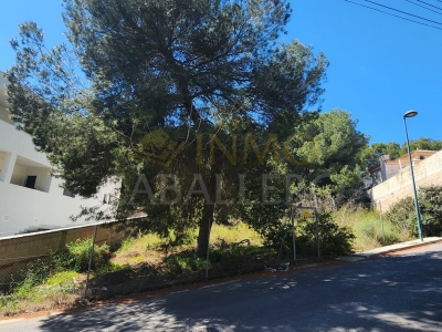 Parcela - Venta - Pinar de Campoverde - Pinar de Campoverde