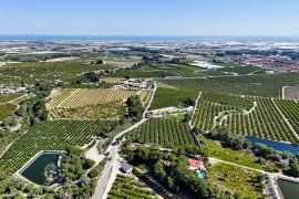 Venta - Chalet - Pinar de Campoverde