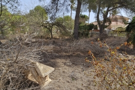 À vendre - Terrain - Pinar de Campoverde