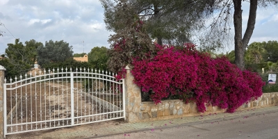 Parcela - Venta - Pinar de Campoverde - Pinar de Campoverde