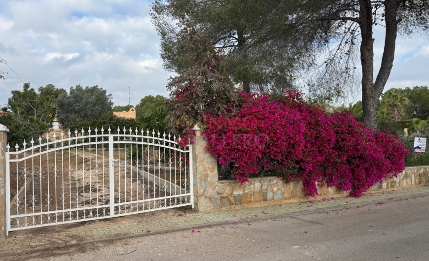 À vendre - Terrain - Pinar de Campoverde