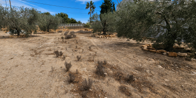 Plot - Sale - Pinar de Campoverde - Pinar de Campoverde