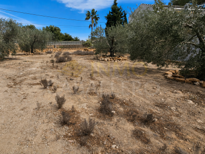 Terrain - À vendre - Pinar de Campoverde - Pinar de Campoverde