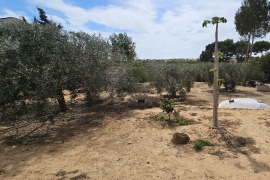 À vendre - Terrain - Pinar de Campoverde