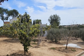 À vendre - Terrain - Pinar de Campoverde