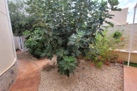 À vendre - Maison - Pinar de Campoverde
