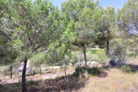 À vendre - Duplex - Pinar de Campoverde