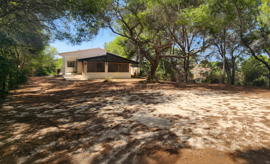 Verkauf - Haus - Pinar de Campoverde
