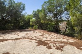 Verkauf - Haus - Pinar de Campoverde