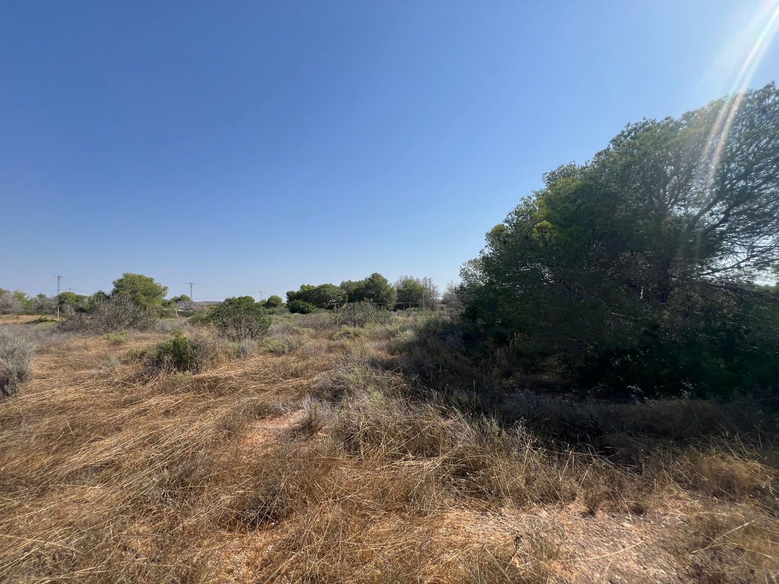 Grundstück · Wiederverkauf - Pilar de la Horadada · Pinar de la Perdiz · Alicante · Spanien