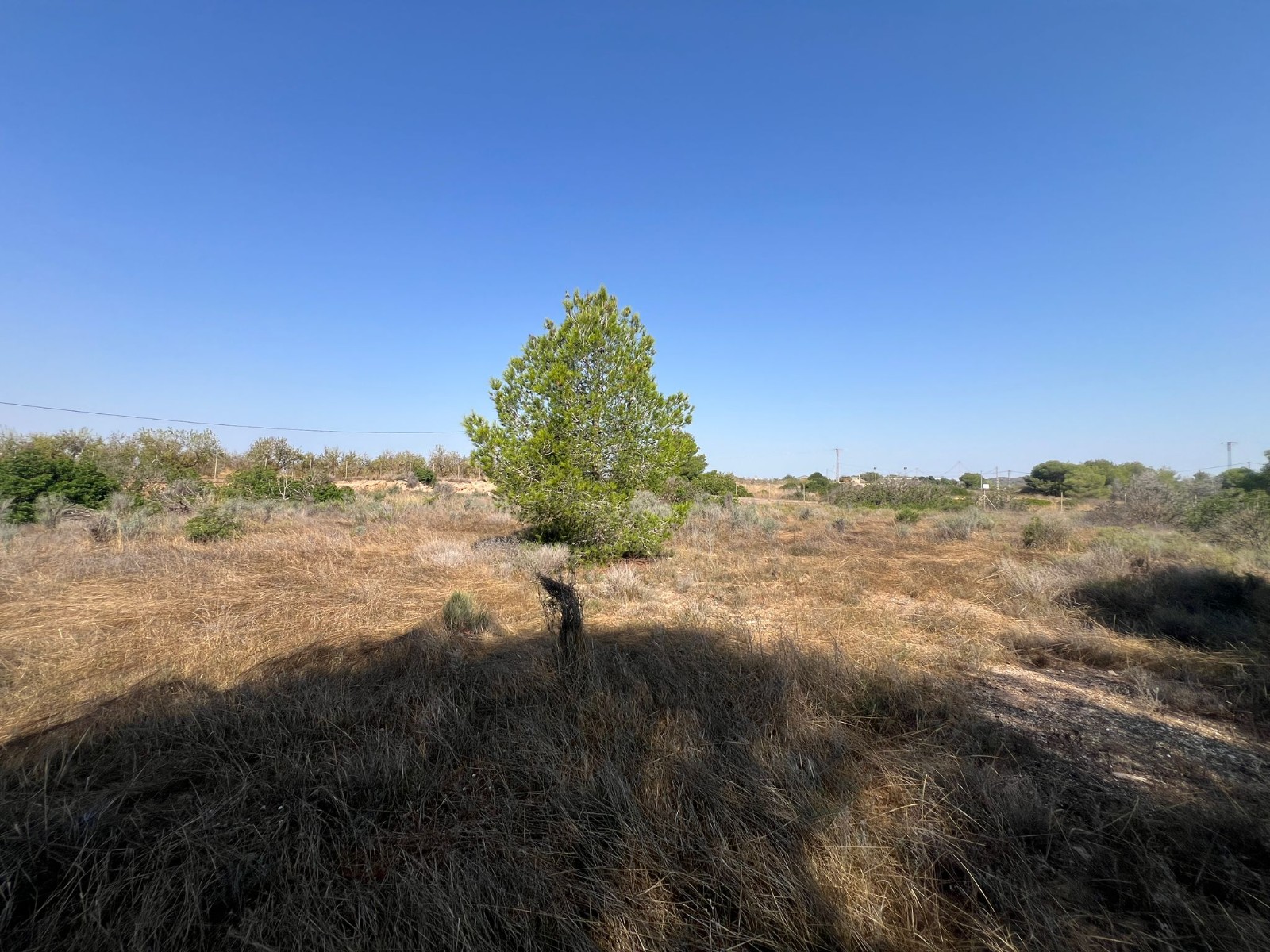 Grundstück · Wiederverkauf - Pilar de la Horadada · Pinar de la Perdiz · Alicante · Spanien