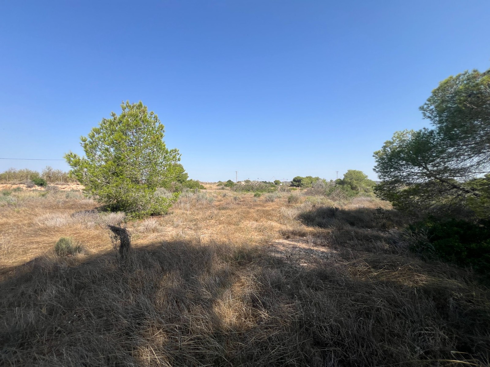 Grundstück · Wiederverkauf - Pilar de la Horadada · Pinar de la Perdiz · Alicante · Spanien