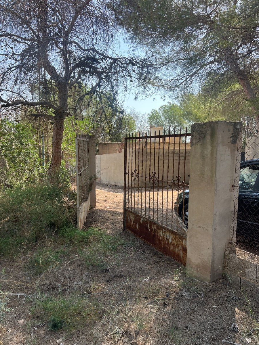 Grundstück · Wiederverkauf - Pilar de la Horadada · Pinar de la Perdiz · Alicante · Spanien