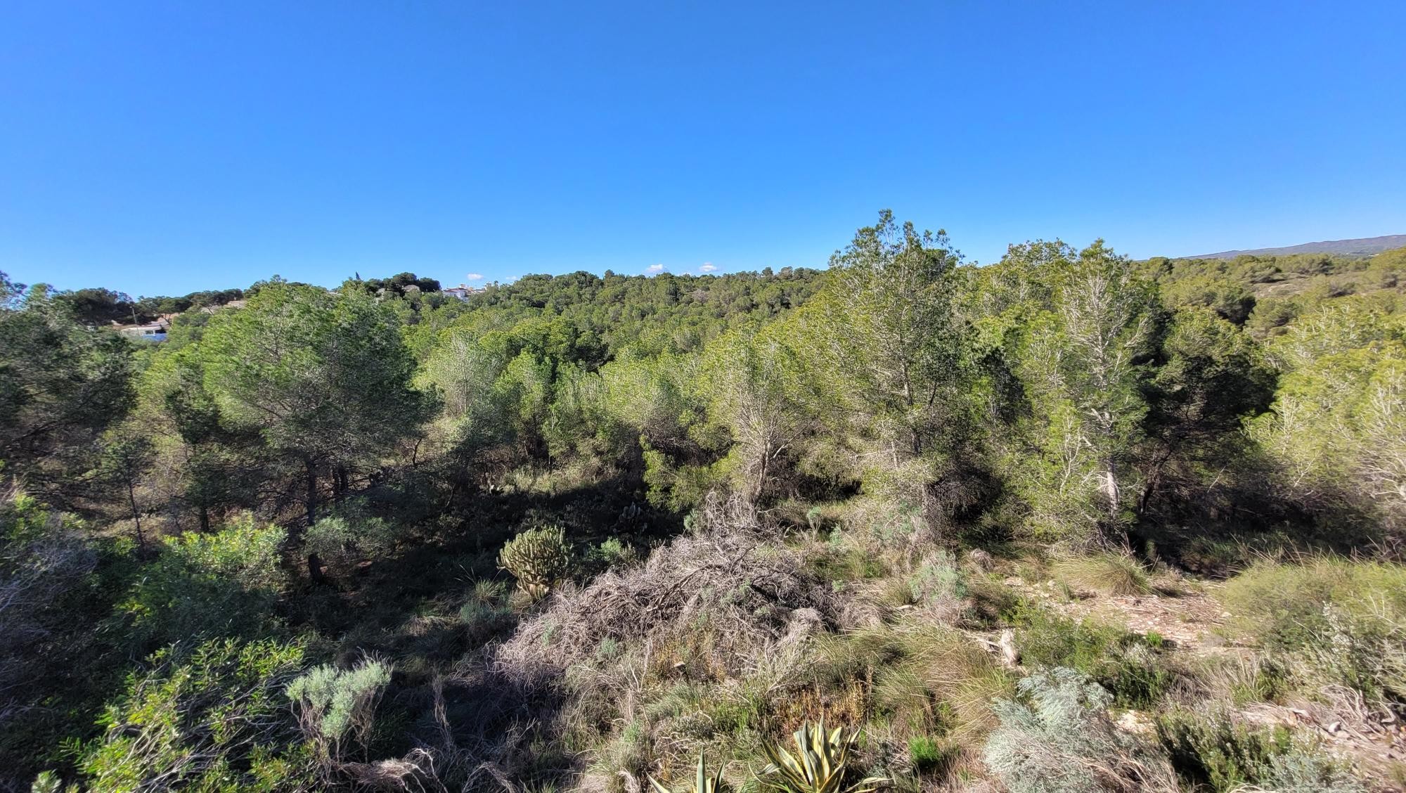 Casa · Reventa - Pilar de la Horadada · Pinar de Campoverde · Alicante · España