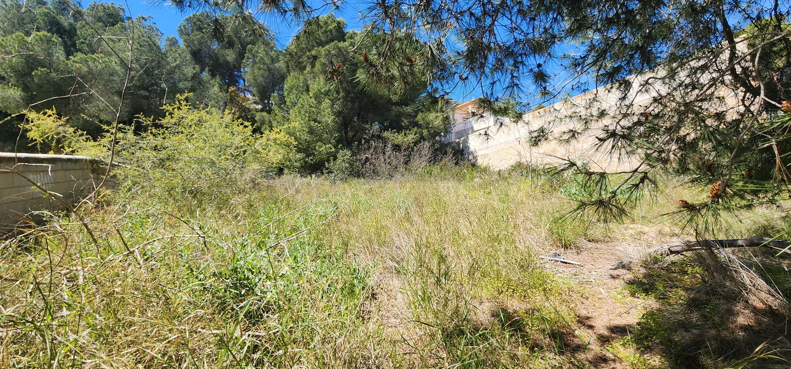 Terreno · Reventa - Pilar de la Horadada · Pinar de Campoverde · Alicante · España