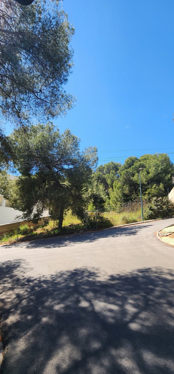 Terreno · Reventa - Pilar de la Horadada · Pinar de Campoverde · Alicante · España