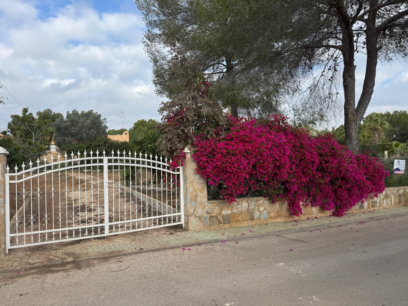 Terreno · Reventa - Pilar de la Horadada · Pinar de Campoverde · Alicante · España