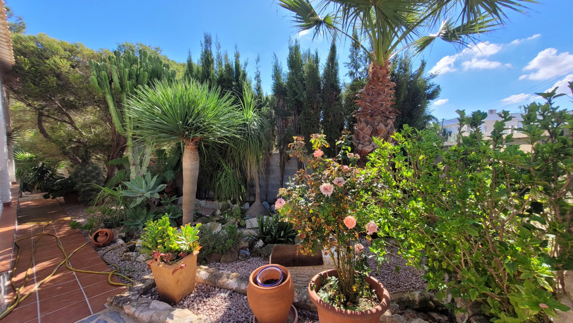 Casa · Reventa - Pilar de la Horadada · Pinar de Campoverde · Alicante · España